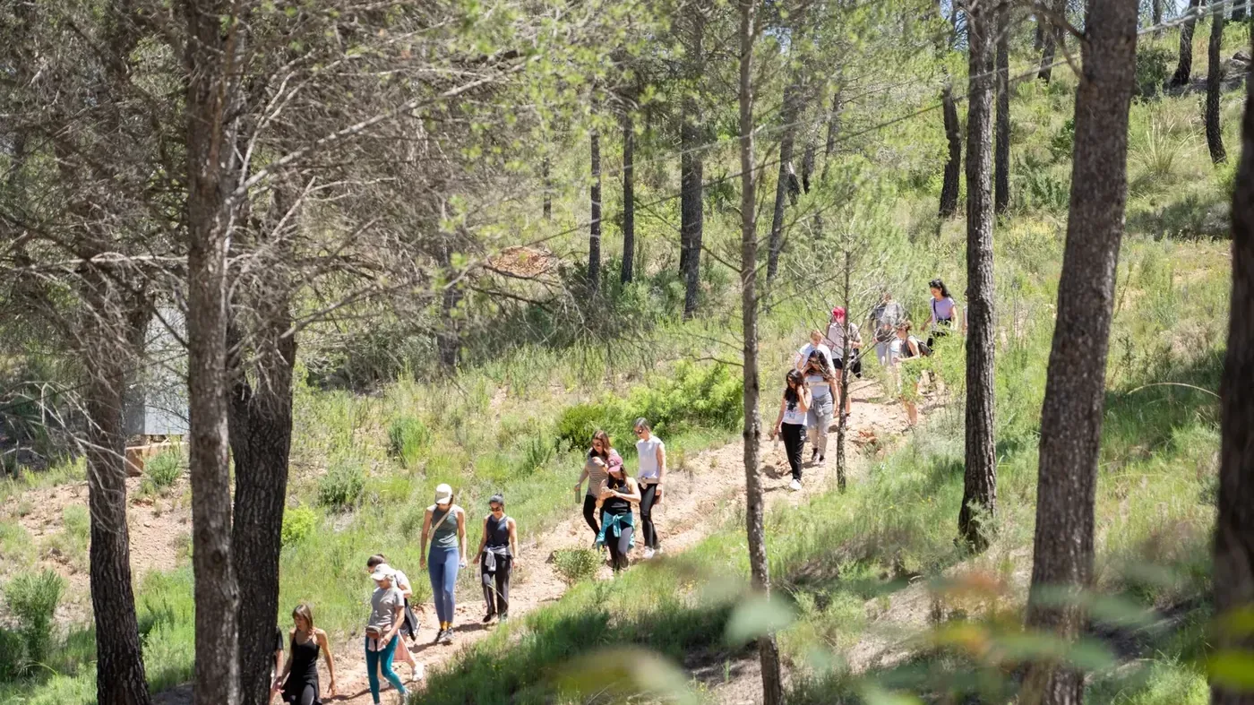 Forest bathing and stress: what the science supports — and what it does not