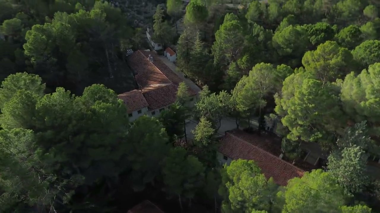 Vista aérea de las instalaciones de Progevita entre los pinares de Cofrentes